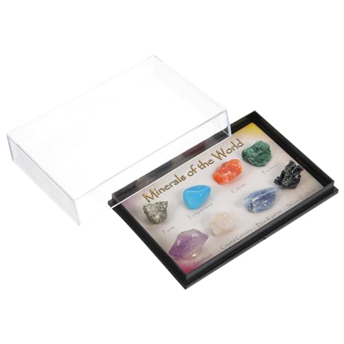 Homoyoyo 1Set Natural Mineral Stone Rough Rock Specimens for Geology Education Irregular Ores for Teaching and Decorative Stone Ornamentation