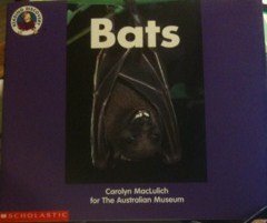 Paperback Bats (Reading Discovery) Book