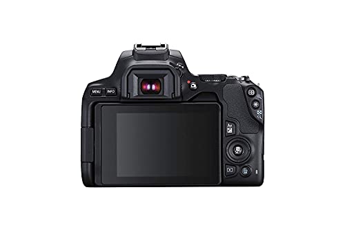Canon Eos 250D / Rebel Sl3 Dslr Camera With 18-55Mm Lens + Creative Filter Set, Eos Camera Bag + Sandisk Ultra 64Gb Card + 6Ave Electronics Cleaning Set, And More (International Model) (Renewed) #TOP4