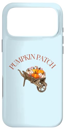 pvLby 艟 H n yfUC X}zP[X iPhone 17 Pro Max p