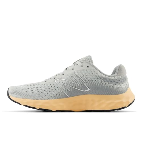 Image of New Balance Women's 520 V8 Shoes
