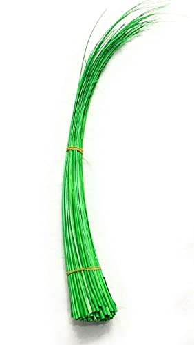 1 tocado largo de pluma de avestruz con lomo despojado de plumas Millinery UK (verde hierba)