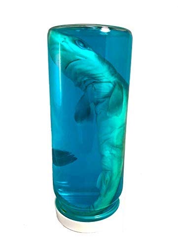 The Shell Connection 06353 Real Shark In A Bottle Jar, Marine Specimen Taxidermy thumb #1