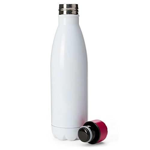 Tri-Coastal Design Cute Functional 17oz Insulated Sports Metal Water Bottle, BPA-Free (Gym & Tonic)