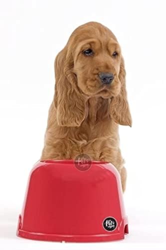 The Pets Company Plastic Elevated Long Eared Dog Bowl, Cocker Spaniel Food Bowl, 520 Ml, Color May Vary