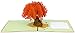 PopLife Orange Maple Tree 3D Pop Up Autumn Card - Anniversary, Pop Up Birthday Card, Thank You, Congratulations, Valentine - for Mom, for Daughter, for Wife, for Grandma, for Stepmom