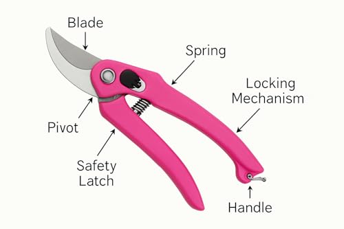Image of Hand Pruner Cutter - 1 Piece (Pink Colour) | Heavy Duty Gardening Tools Grass Cutter, Plant Cutter for Home Garden, Wood Branch Trimmer, Garden Tools Accessories (Steel Blades, Assorted)