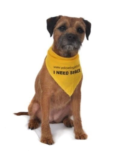 Yellow Dog UK Dog Bandana - "I NEED SPACE" (Medium)