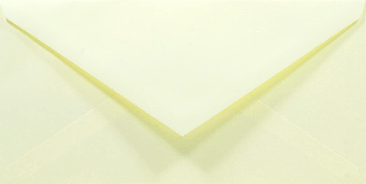 Netuno 50 Cream Coloured envelopes DL 110 x 220 mm 4.33 x 8.66 in 80gsm Rainbow Decorative Envelope Colourful Long envelopes for Letters Flyers Business Cards Birthdays Weddings — image 1