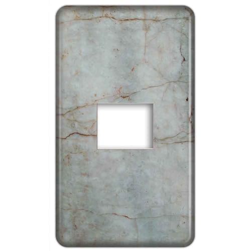 CASEMAKER �R���Z���g/�X�C�b�`�v���[�g���ʃ^�C�v �y�t���J���[(���_��)�v���[�g�݊��i�z�y1�A1�R�p �^��WN6001�z �X�g�[���� 30�f�U�C�� 017�� �p�i�\�j�b�N�݊��i