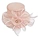 Generic Derby Hats for Women 2024 Church Tea Party Easter Organza Dress Hat Packable British Sunday Top Hat Ladies Pillbox Hats Womens Fascinator Outfits Accessorie for Girls Summer Beige One Size