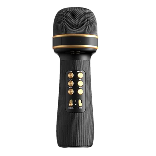 Microphone sans fil portable en ABS pour chanter sans larsen ni câble
