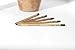 Sprout Wood-Cased Pencils | Happy Bee Edition | 5 pcs, Unisex, Graphite, Sustainable, Plantable, Eco-Friendly, Non-Toxic, Biodegradable, PEFC or FSC Certified
