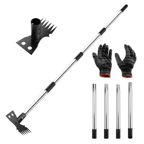 Homvvi Weed Remover Tool, Weed Puller with Long Handle 58IN, 2 in 1 Garden Hoe Weeding Tool and Weeding Rake for Root Remover, 1.5M Steel and Detachable Handle for Garden, Patio, Lawn Edging