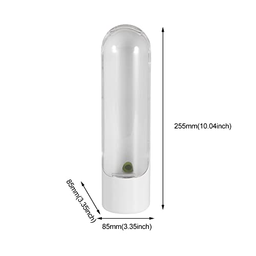 Ssiyiya Boîte à herbes fraîches pour réfrigérateur, récipient de conservation pour herbes aromatiques, vanille, conservation des légumes, conserve la fraîcheur des légumes pour coriandre, menthe, – vue 2
