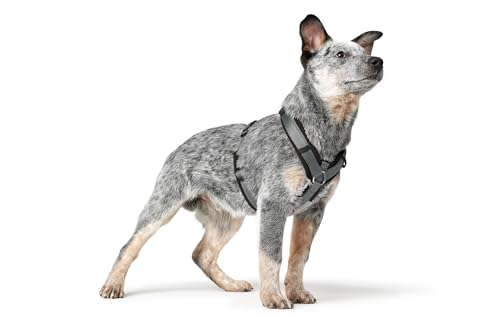 Hunter Hundegeschirr Maldon UP, Farbe: schwarz/grau, weich gepolstert & komfortabel, stark reflektierend durch 3M Scotchlite, 4-Fach verstellbar, mit gepolstertem Griff (ab S-M), Größe: M