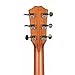 Taylor 214ce Plus, Acoustic Guitar