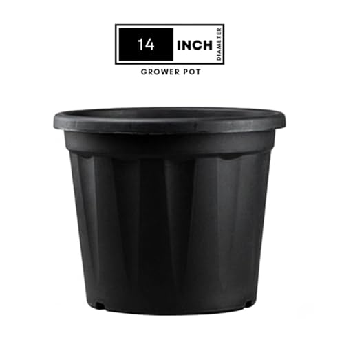 Image of 14 Inch Heavy Duty Plastic Planter | Grower Pot /Garden Pot for Home & Garden (Black) (Pack of 2)