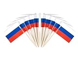CYPS 100 Pcs Russia Flag Toothpicks, Mini Stick Cupcake Toppers, Country Picks for Parties & Celebrations