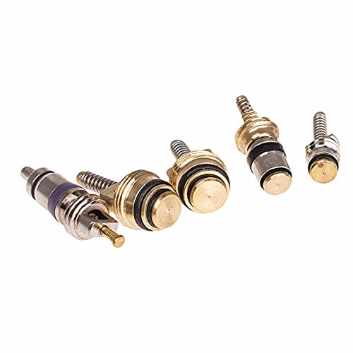 SLPB 102Pcs Car R134a / R12 A/C Ar Condicionado Valve Core & Kit de ferramentas removedor 1/4 '' 5