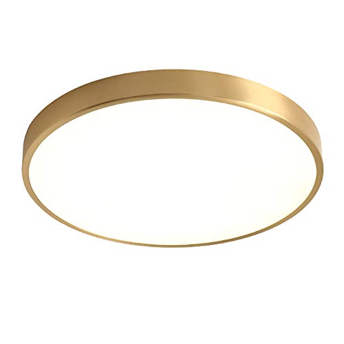 LED�����V�[�����O���C�g�A�~�`�S�[���f���V�[�����O�A���E���h�u���b�V���h�u���X�t���b�V���}�E���g�����v�A���r���O���[���x�b�h���[���L�b�`���L���K�i�p�����R���t���Ɩ����-�z���C�g 60�Z���g