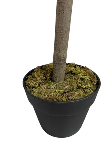 Image of Fox & Fern Artificial Bougainvillea Plant | with Basic Pot | Elevate Any Corner of Your Home /Office | Ornamental Plant Best for Home Decor (Pack of 1) (Ht. 4Ft) (Orange)
