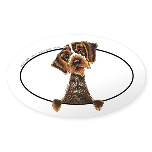 CafePress Wirehaired Pointing Griffon Peeking Bumper Sticker Oval Car Bumper Sticker