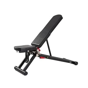 DHT Strength Training Adjustable Benches, Weight Bench for Full Body Workout with Fast Folding, Stable Incline Decline Bench B2 for Home, Gym, Sit up Bench