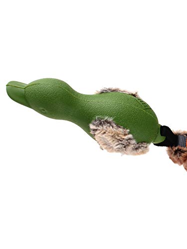 GiGwi Gummi-Ente Hundespielzeug 'Push to Mute' leise und quietschendes Spielzeug interaktiv mit Plüschschwanz - Grün