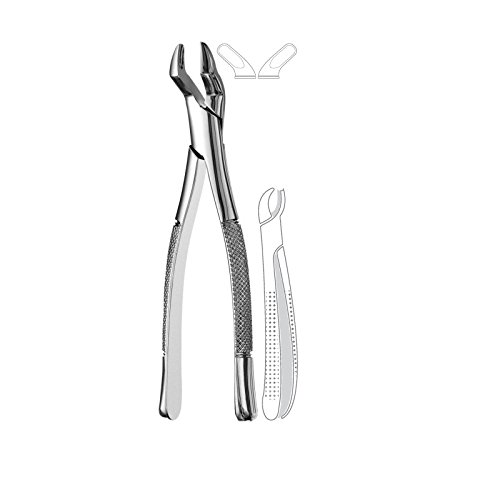 Extracting Forcep American Pattern Upper Molar #10S