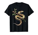 Ball Python Zubehör Für Schlangenbesitzer