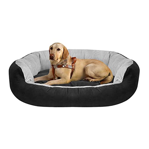 ross dog beds