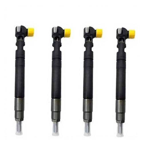 LLNOM 4PCS Diesel Fuel Injector EMBR00301D A6710170121 Compatible for Delphi Ssangyong Actyon Rexton Korando 2.0 R00301D 6710170121 Replacing the Injector