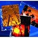 Archival-Plus Print Page, Holds Two 8 x 10" Prints - 25 Pack