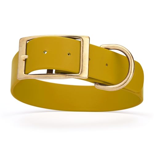 Image of Viper Biothane Heavy Duty Waterproof Dog Collar Strong Coated Nylon Webbing w /Solid Brass Hardware Odor-Proof Easy to Clean High Performance Fits Small Medium or Large Dogs, Treasure Gold