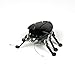 HEXBUG Beetle