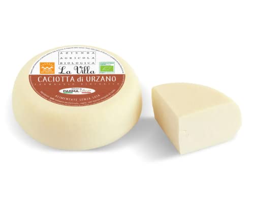 Organic Caciotta cheese di Urzano - Mountain Product - Italy - Milk Vacche Rosse/Brune