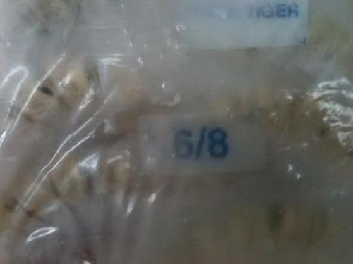 6-8ubN^CK[  1800g 24`32 Ⓚ Ɩp ACXubN