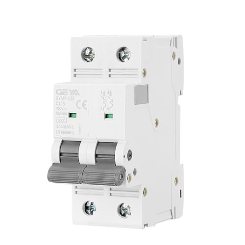 Disjoncteur 2P 80A 100A 125A Courbe C disjoncteur modulaire AC 400V 6KA pour rail DIN