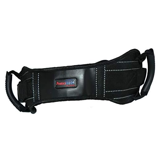 Protectwear Motocicleta Pasajero cinturón de Seguridad/Correa de Pasajero SHG