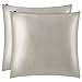 LilySilk Taie d'Oreiller en Soie pour Cheveux 19 Momme [Lot de 2] Housse de Coussin Soie Naturelle Soie de Mûrier Bio Anti-acariens Anti-transpiration Anti-ride Taie Oreiller Soie 65x65cm Gris Argenté