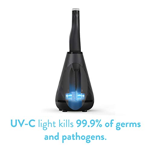 Tao Clean UV Sanitizing Sonic Toothbrush and Cleaning Station, Electric Toothbrush, Dual Speed Setting, Black