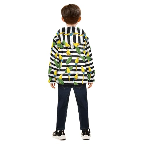 Yellow Parrots Stripes Toddler Boy Winter Jacket Comfy Winter Jacket for Boy 3T4