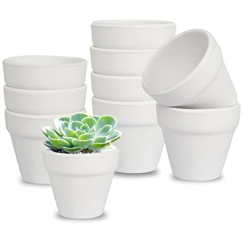 AOROPS Mini Blumentopf Weiß, 10 Stücke Mini Tontöpfe 5cm Kleine Blumentöpfe Weiß Keramik Sukkulenten Töpfe Cover