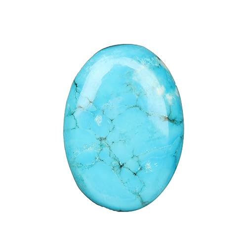 GEMHUB [X u[ ^[RCY 19.7Jbg uAg I[o J{V VR WG[p X[Jbg J{V Op