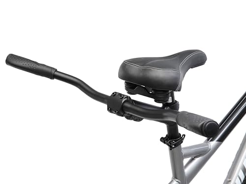 Image of Schwinn Twinn