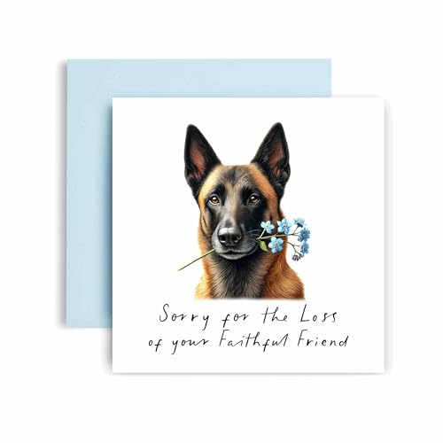 Huxters Sorry for Loss of Dog – Belgian Malinois - Condolences to Dog Mum and Dog Dad – Dog Best Faithful Friend Deepest Sympathy (Belgian Malinois)
