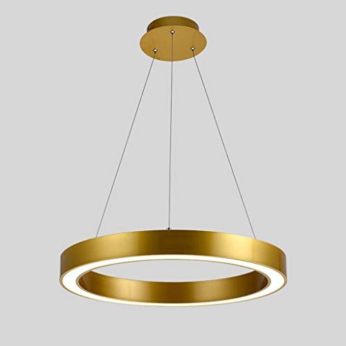 Lampes LED circulaires dorées éliminez la fatigue oculaire avec notre lumière chaude 80 cm