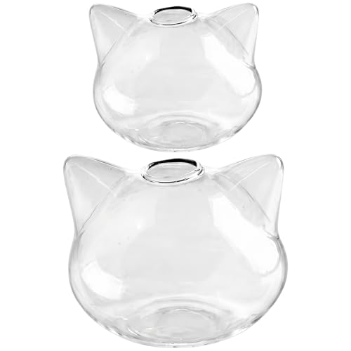 Vase à fleurs de chat et pot de propagation transparent pour plantes