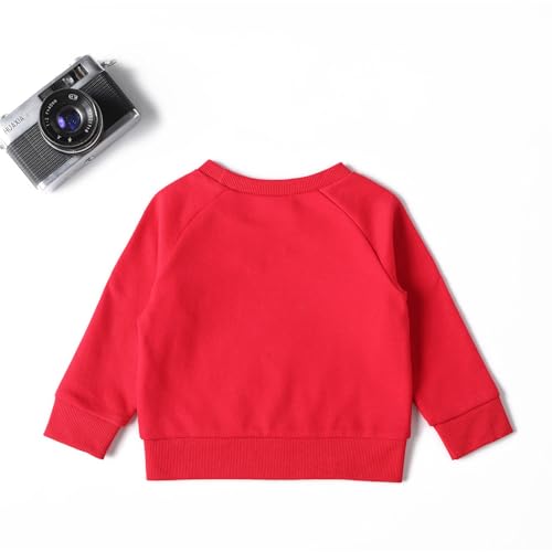 DEFAHN Toddler Baby Pullover Sweatshirt,Long Sleeve Infant Boy Girl Crewneck Active Tshirts 6 Month-3Y3
